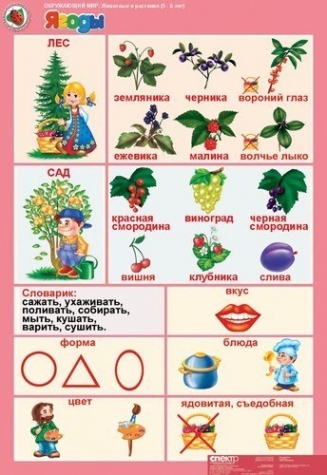 Растительный мир .