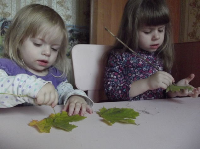 Конструктор из листьев .