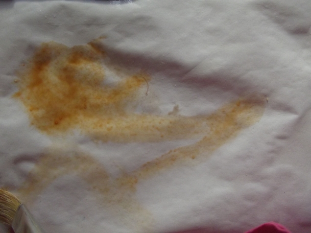 Какого цвета осень ? Какого цвета осень ?