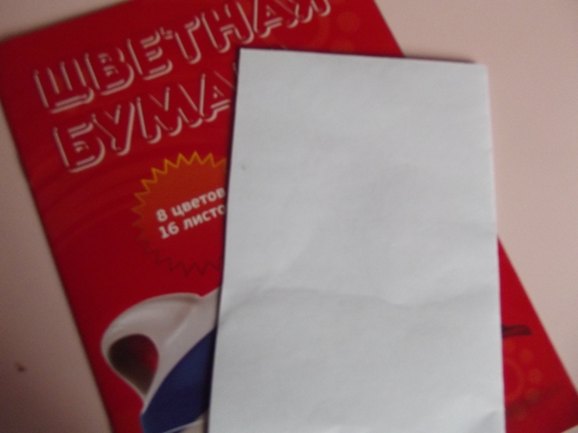 Аппликация " Флаг " .