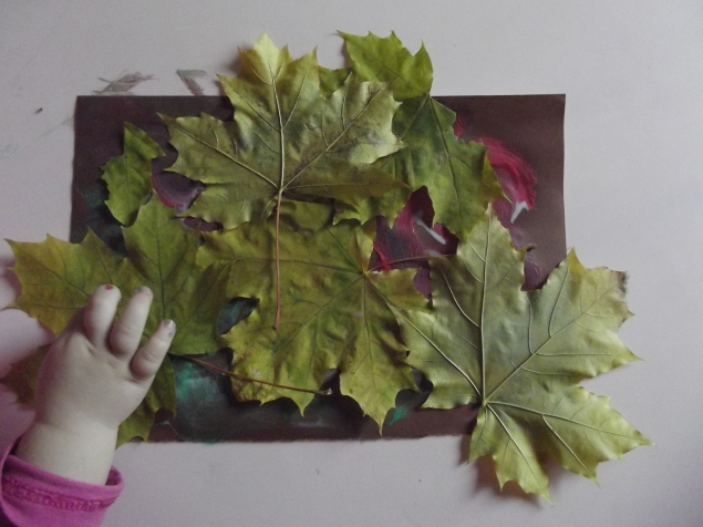 Осенний коллаж . Осенний коллаж .