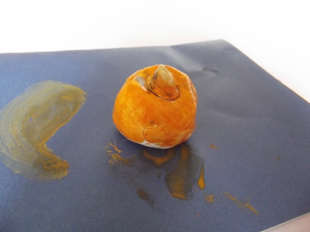 Тыква . Тыква .