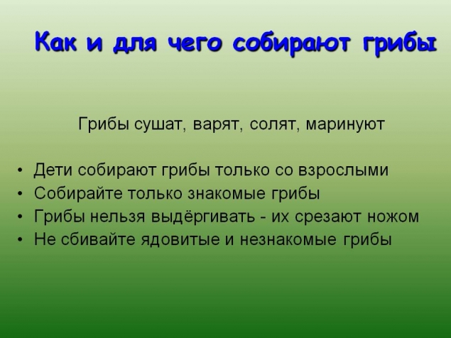 Изучаем грибы . Изучаем грибы .