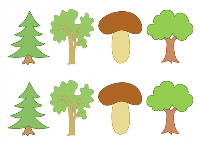 Изучаем грибы . Изучаем грибы .