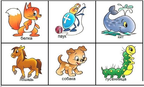 Где домик ? Где домик ?