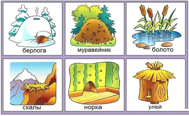 Где домик ? Где домик ?