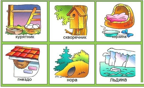 Где домик ? Где домик ?