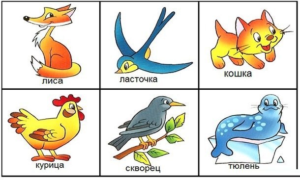 Где домик ? Где домик ?