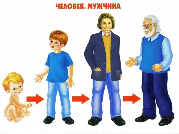 Цикл жизни .
