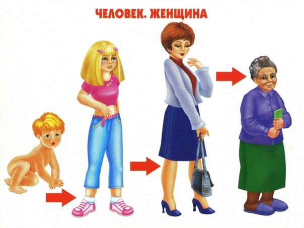 Цикл жизни .