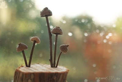 Поделки . Поделки .