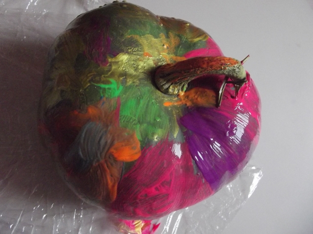 Разноцветная тыква .