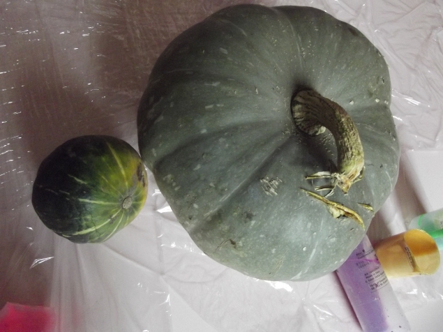 Разноцветная тыква .