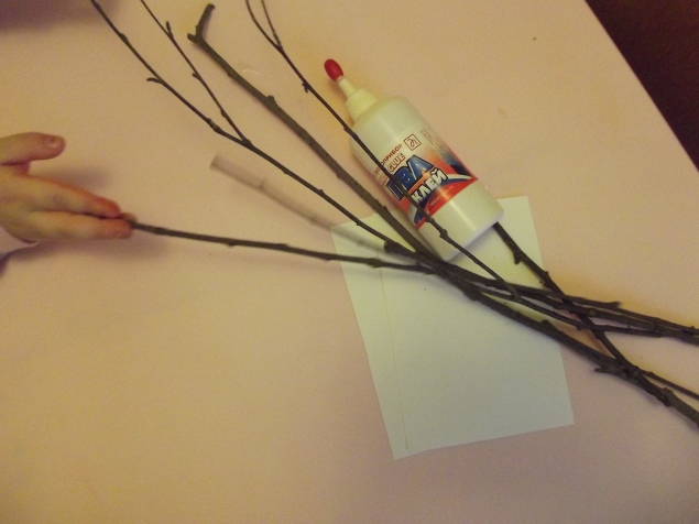 Аппликация из веточек .