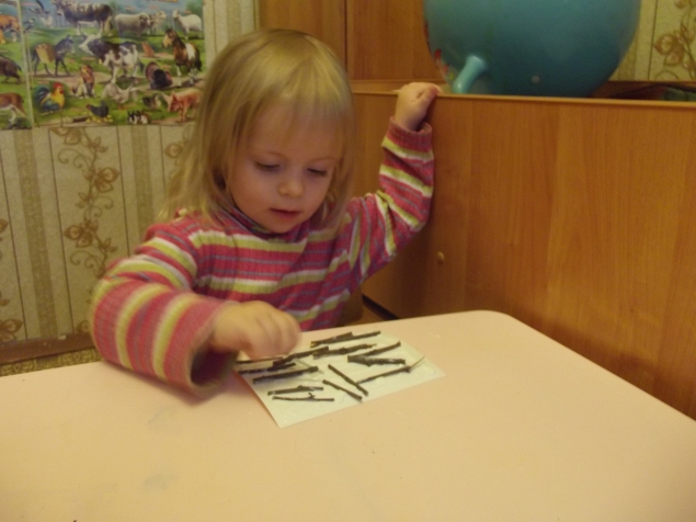 Аппликация из веточек .