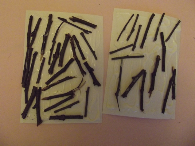 Аппликация из веточек .