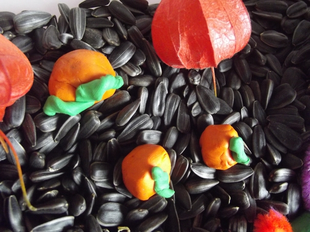 Хеллоуин в коробке . Часть 1 .