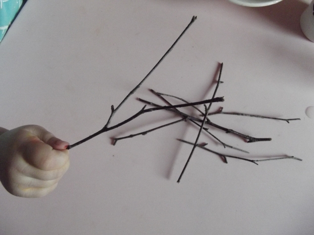 Веточки в снегу . Веточки в снегу .