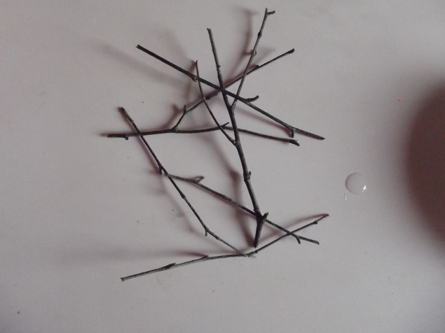 Веточки в снегу . Веточки в снегу .