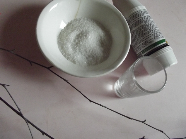 Веточки в снегу . Веточки в снегу .