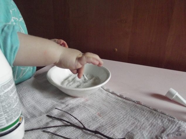 Веточки в снегу . Веточки в снегу .