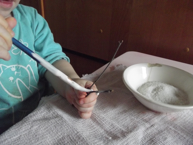 Веточки в снегу . Веточки в снегу .