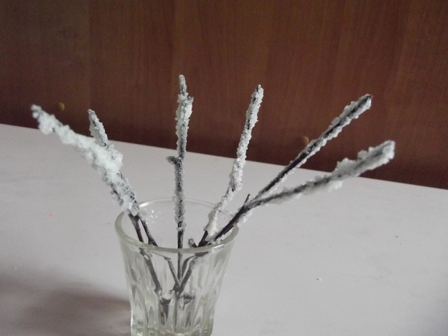 Веточки в снегу . Веточки в снегу .