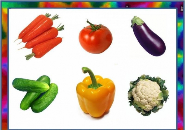 Назови одним словом .