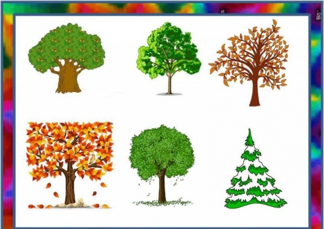 Назови одним словом .