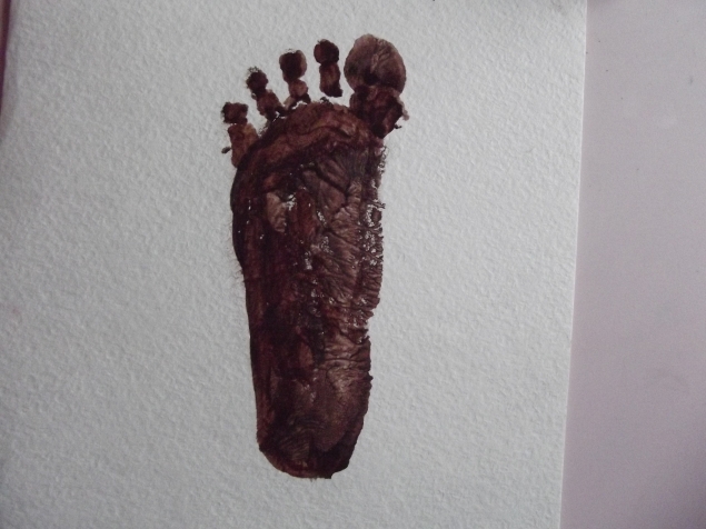 Олень . Олень .