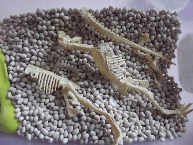 Раскопки . Раскопки .