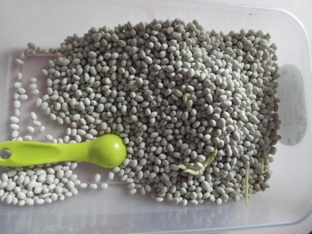 Раскопки . Раскопки .