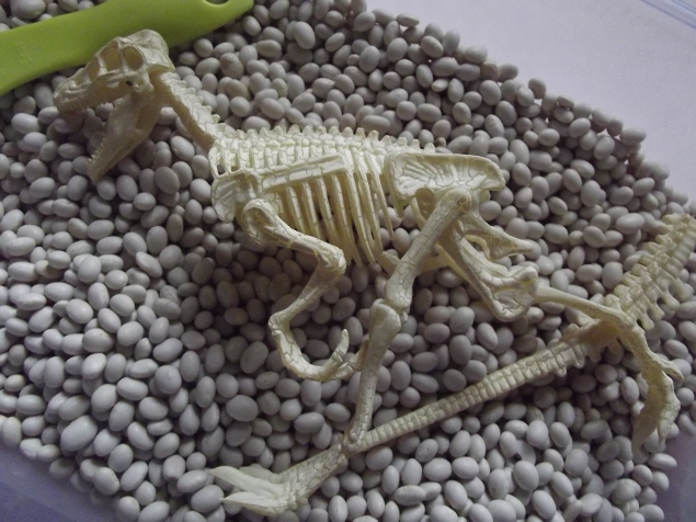 Раскопки . Раскопки .