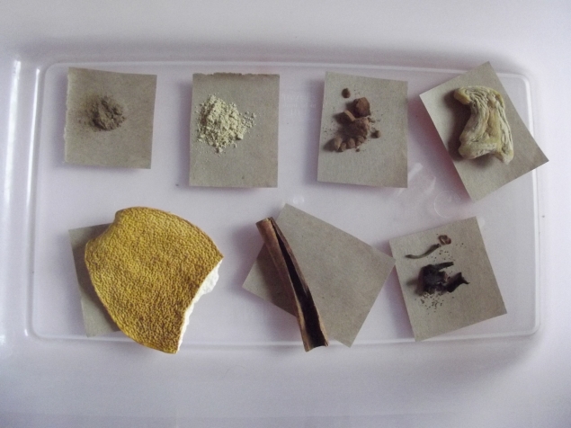 Новогодние запахи .