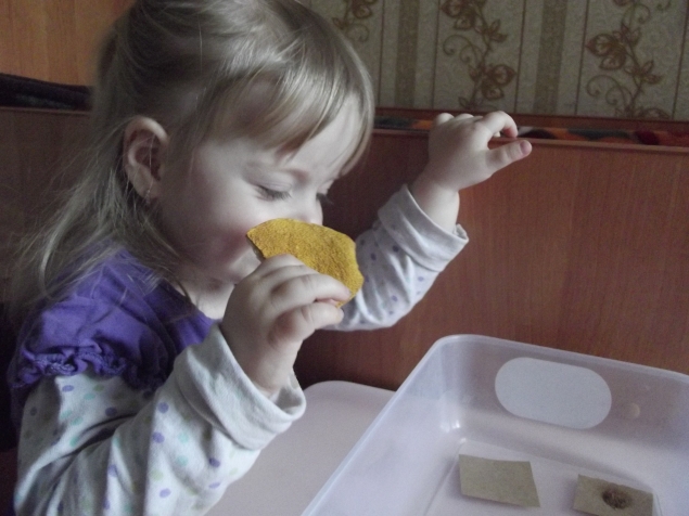 Новогодние запахи .