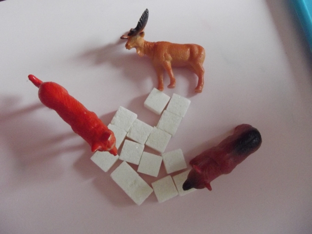 Иглу из сахара .