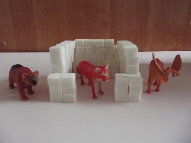 Иглу из сахара .