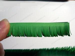 Еловая ветвь . Еловая ветвь .