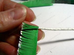 Еловая ветвь . Еловая ветвь .