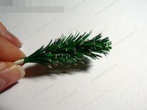 Еловая ветвь . Еловая ветвь .