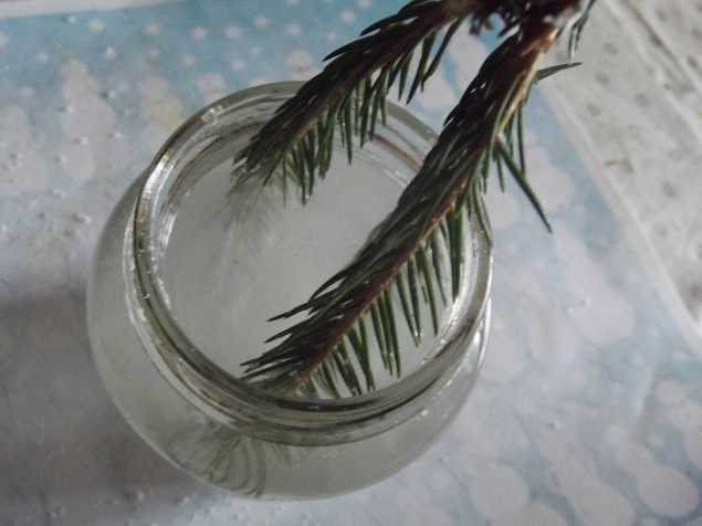 Растим кристаллы .