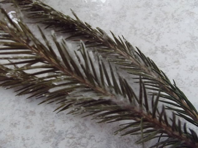 Растим кристаллы .