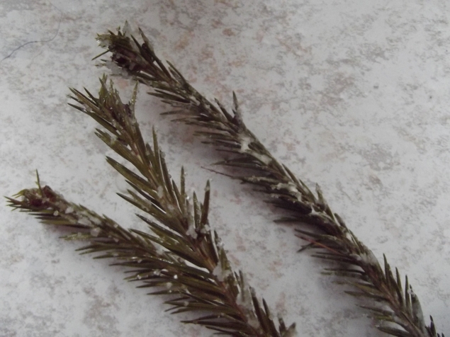 Растим кристаллы .