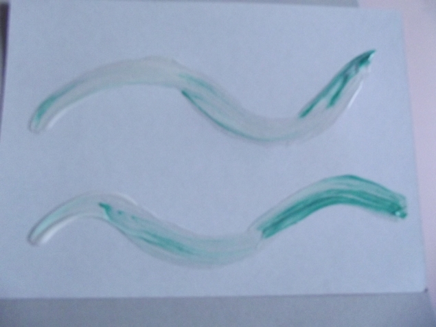 Блестящие дорожки . Блестящие дорожки .