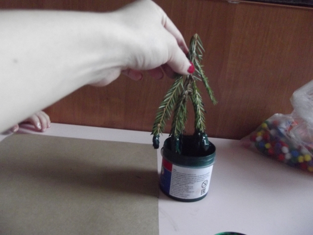 Еловые кисти .