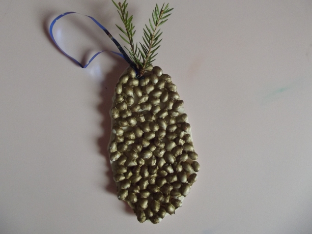 Шишка . Шишка .