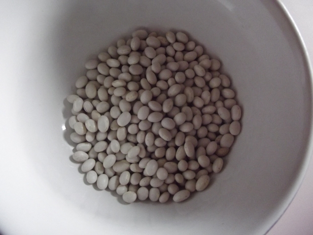 Шишка . Шишка .