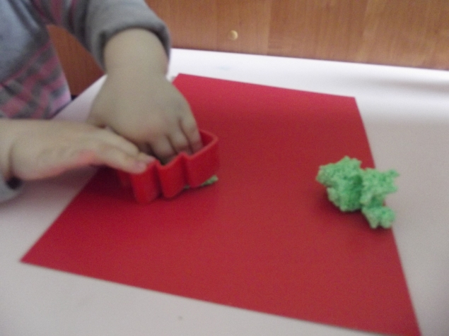 Еловый лес .