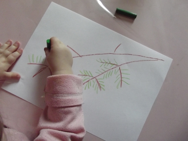 Ветка ели . Ветка ели .