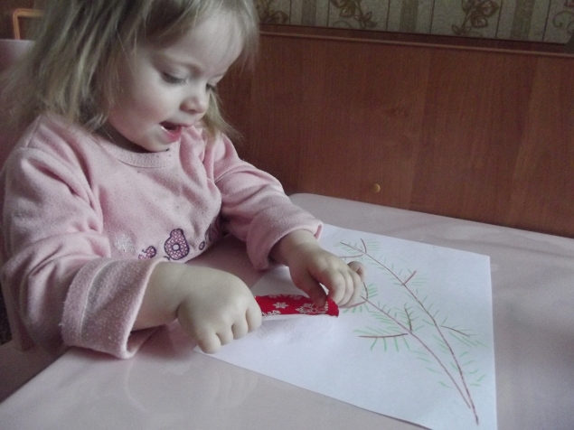 Ветка ели . Ветка ели .